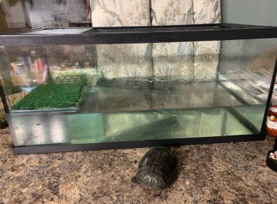 Looking for new home