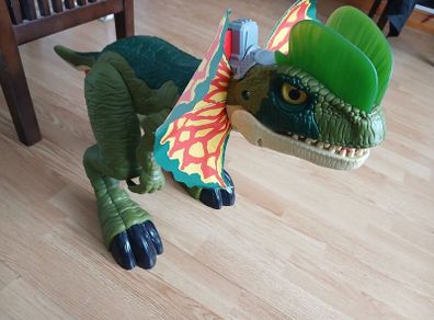 dinosaur