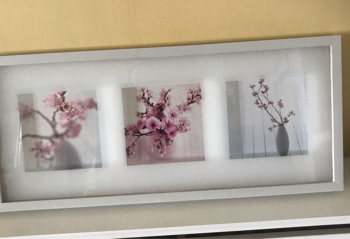 Framed Floral Print Set