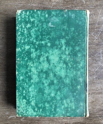 Antique Book The Flight of the Eagle by Standish O'Grady