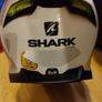 Shark Skwal Image 2