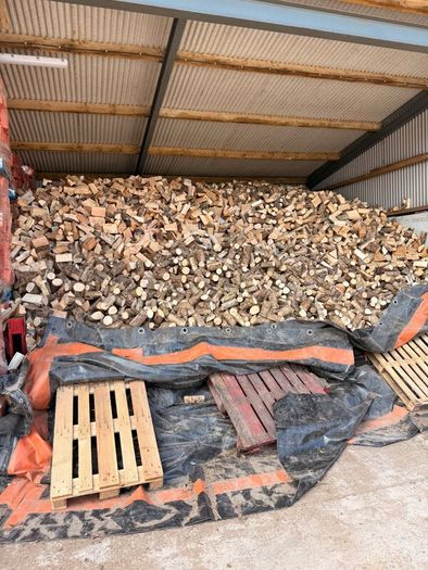 Firewood /sawdust