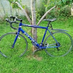 Carrera Zelos bicycle for sale