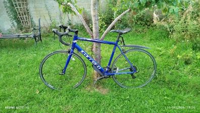 Carrera Zelos bicycle for sale