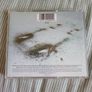 Glued - Crashland CD Image 2