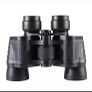 binocular Image 2