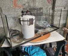 Juwel aquarium