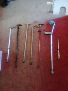 walking sticks