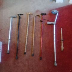 walking sticks