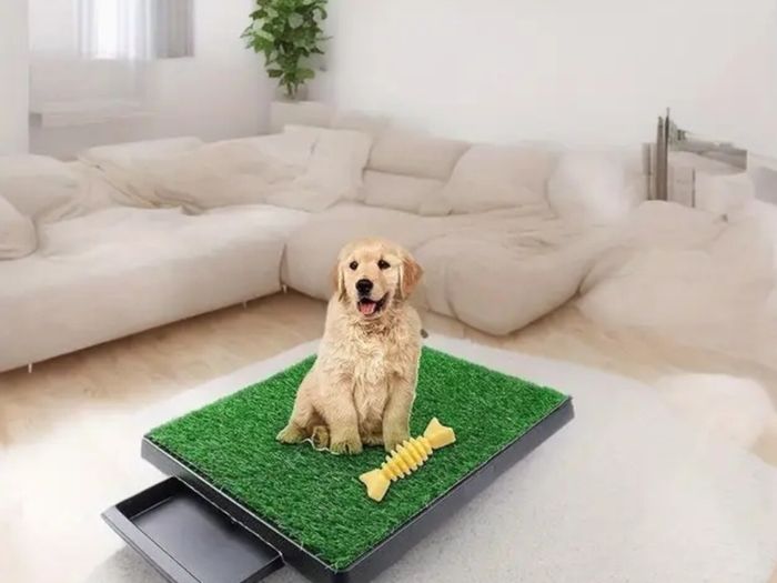 Puppy training pad