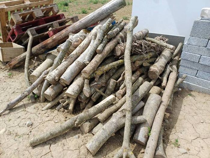 Logs