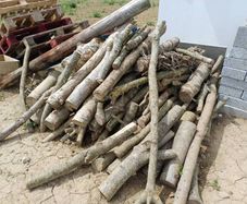 Logs