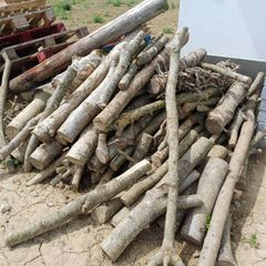 Logs
