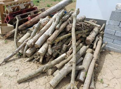 Logs