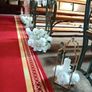 Gold Lanterns Image 6