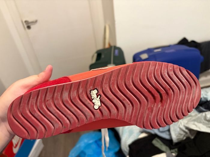 coach trainers