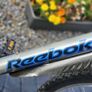 Large 22" Frame Guys Used Bike Image 2