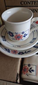 Staffordshire tea set