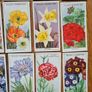 Vintage Cigarette cards Image 5