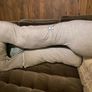 Pregnancy Pillow Image 2