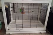Large bird cage for parrots