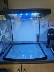 aquarium fish tank