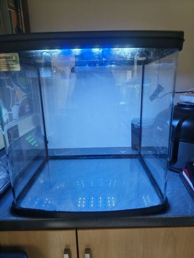 aquarium fish tank