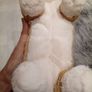 Betty the Corgi Jellycat Image 5