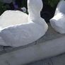 garden planters Image 2
