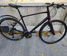 Giant FastRoad SL 1 (Size Large)