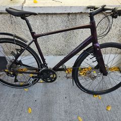 Giant FastRoad SL 1 (Size Large)