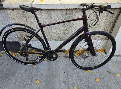 Giant FastRoad SL 1 (Size Large)
