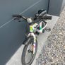 Frog Bike Image 2