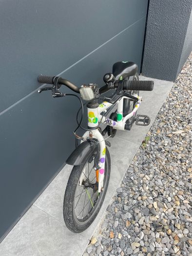 Frog Bike