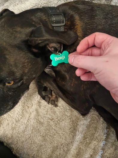 Pet name tags
