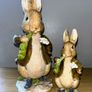 Perfect for Easter - Pair of Beatrix Potter rabbits by Border Fine Arts 2002 Image 6