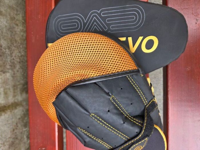 Boxing Gloves and Pads Set