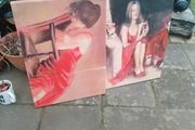 2 Beautiful matching canvas