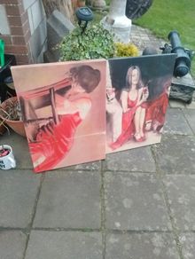 2 Beautiful matching canvas