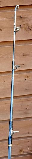 Zziplex Sea Raider Rod