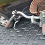 Ladies Martello Sutton Bike N Basket. No Offers Image 10