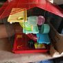Hamster cage Image 4