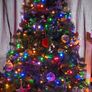 Christmas tree Image 2