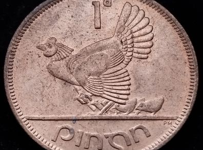 [#2661] - Ireland 1952 | Irish 1d | One Penny | KM.11 | UNC