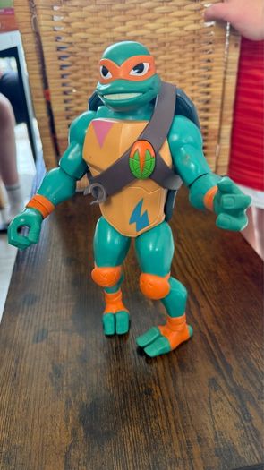turtles