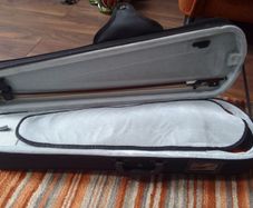 Violin