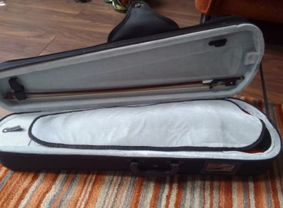 Violin