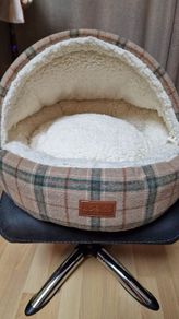 Cat Cave