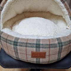 Cat Cave