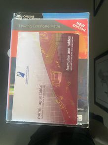 leaving cert maths ordinary pevel